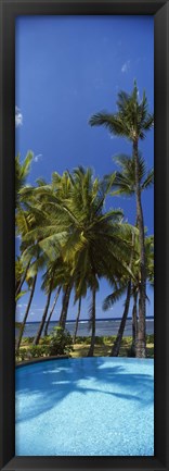 Framed Palm Trees in Maui, Hawaii (vertical) Print