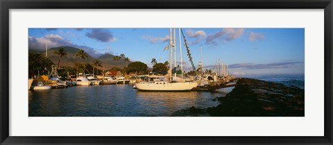 Framed Sailboats in the bay, Lahaina Harbor, Lahaina, Maui, Hawaii, USA Print