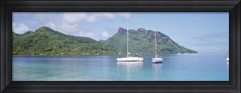 Framed Sailboats in the sea, Tahiti, Society Islands, French Polynesia Print