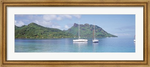 Framed Sailboats in the sea, Tahiti, Society Islands, French Polynesia Print