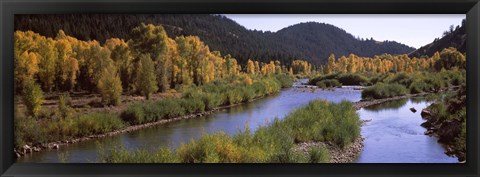 Framed River flowing through a forest, Jackson, Jackson Hole, Teton County, Wyoming, USA Print