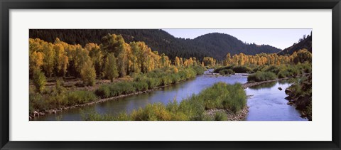 Framed River flowing through a forest, Jackson, Jackson Hole, Teton County, Wyoming, USA Print