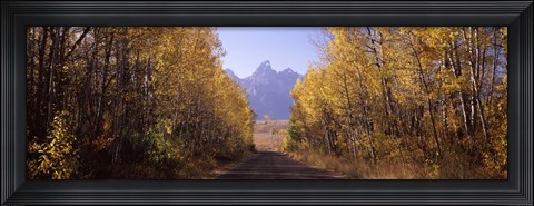 Framed Road passing through a forest, Grand Teton National Park, Teton County, Wyoming, USA Print