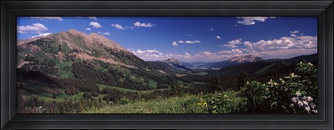 Framed Wildflowers with mountains in the background, Crested Butte, Gunnison County, Colorado, USA Print