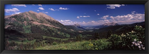 Framed Wildflowers with mountains in the background, Crested Butte, Gunnison County, Colorado, USA Print