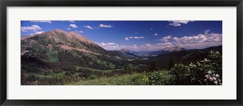 Framed Wildflowers with mountains in the background, Crested Butte, Gunnison County, Colorado, USA Print