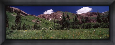 Framed Forest, Crested Butte, Gunnison County, Colorado, USA Print