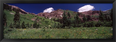 Framed Forest, Crested Butte, Gunnison County, Colorado, USA Print