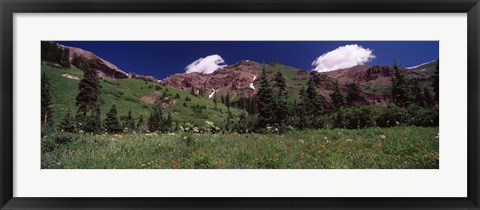 Framed Forest, Crested Butte, Gunnison County, Colorado, USA Print