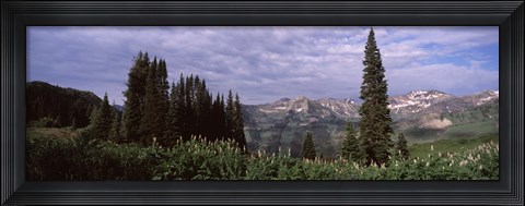 Framed Forest, Washington Gulch Trail, Crested Butte, Gunnison County, Colorado (horizontal) Print