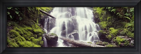 Framed Waterfall in a forest, Waheena Falls, Hood River, Oregon, USA Print