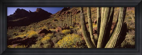 Framed Desert Landscape, Organ Pipe Cactus National Monument, Arizona, USA Print