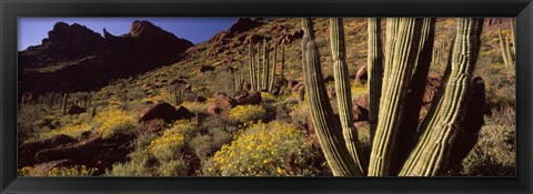 Framed Desert Landscape, Organ Pipe Cactus National Monument, Arizona, USA Print