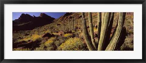 Framed Desert Landscape, Organ Pipe Cactus National Monument, Arizona, USA Print