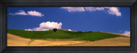 Framed Agricultural field, Ronda, Malaga Province, Andalusia, Spain Print