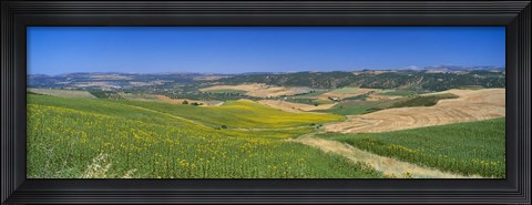 Framed Agricultural fields, Ronda, Malaga, Andalusia, Spain Print