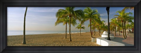Framed Palm trees on the beach, Las Olas Boulevard, Fort Lauderdale, Florida, USA Print
