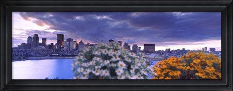 Framed Blooming flowers with Montreal skyline, Quebec, Canada 2010 Print
