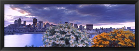 Framed Blooming flowers with Montreal skyline, Quebec, Canada 2010 Print