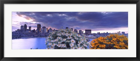 Framed Blooming flowers with Montreal skyline, Quebec, Canada 2010 Print