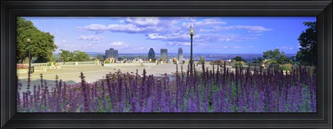 Framed Blooming flowers with city skyline in the background, Kondiaronk Belvedere, Mt Royal, Montreal, Quebec, Canada 2010 Print