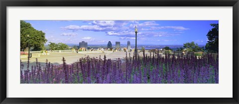 Framed Blooming flowers with city skyline in the background, Kondiaronk Belvedere, Mt Royal, Montreal, Quebec, Canada 2010 Print