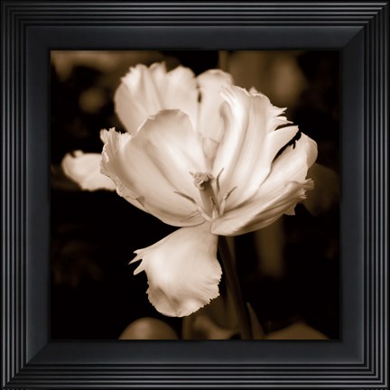 Framed Veronica&#39;s Garden II Print