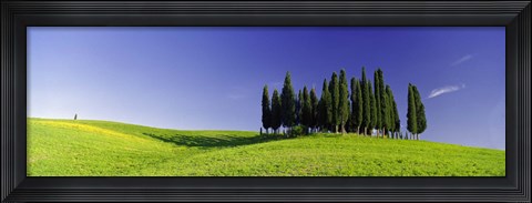Framed Trees on a landscape, Val D&#39;Orcia, Siena Province, Tuscany, Italy Print