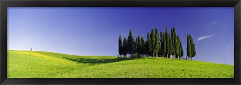 Framed Trees on a landscape, Val D&#39;Orcia, Siena Province, Tuscany, Italy Print