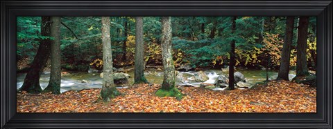Framed River flowing through a forest, White Mountain National Forest, New Hampshire, USA Print