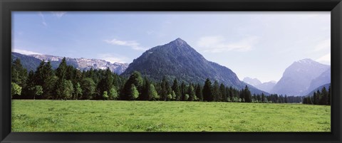 Framed Trees on a hill with mountain range in the background, Karwendel Mountains, Risstal Valley, Hinterriss, Tyrol, Austria Print