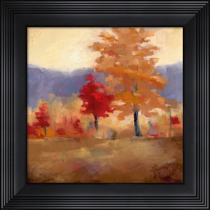 Framed Fall Splendor II Print