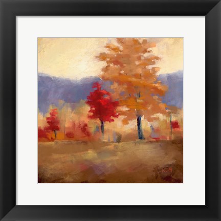 Framed Fall Splendor II Print