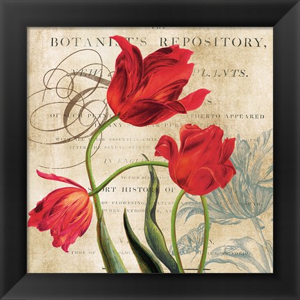 Framed Botanist&#39;s Repository Print