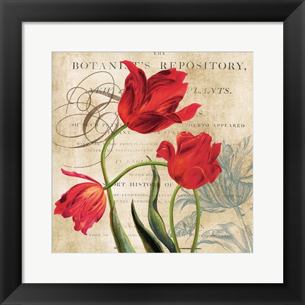 Framed Botanist&#39;s Repository Print