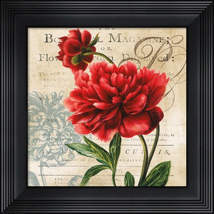 Framed Botanist Magazine Print