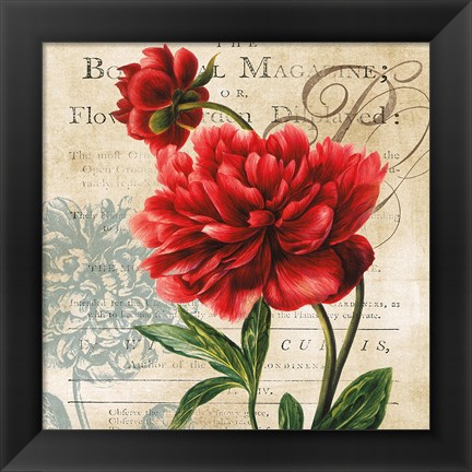 Framed Botanist Magazine Print