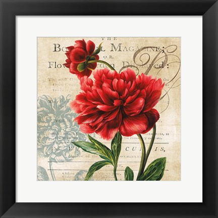 Framed Botanist Magazine Print