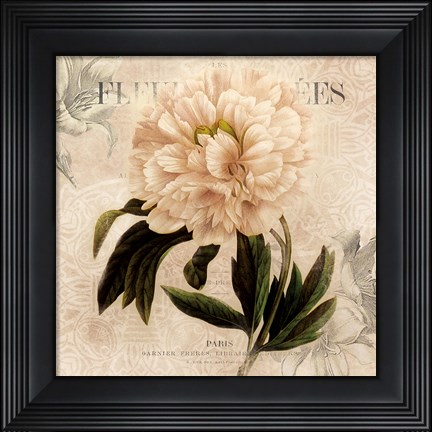 Framed White Peony II Print