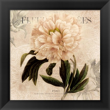 Framed White Peony II Print