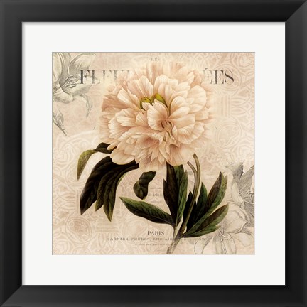 Framed White Peony II Print