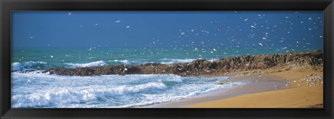 Framed Waves breaking on the coast, Morbihan, Brittany, France Print