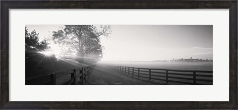 Framed Ranch at dawn, Woodford County, Kentucky, USA Print