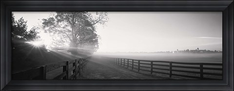 Framed Ranch at dawn, Woodford County, Kentucky, USA Print