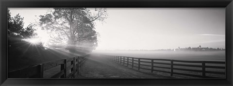 Framed Ranch at dawn, Woodford County, Kentucky, USA Print