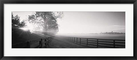 Framed Ranch at dawn, Woodford County, Kentucky, USA Print