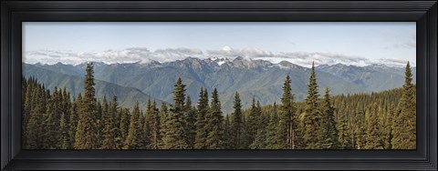 Framed Mountain range, Olympic Mountains, Hurricane Ridge, Olympic National Park, Washington State, USA Print