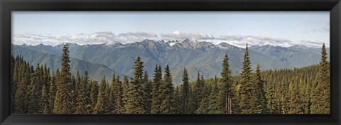 Framed Mountain range, Olympic Mountains, Hurricane Ridge, Olympic National Park, Washington State, USA Print