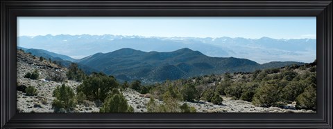 Framed Mountain range, White Mountains, Eastern Sierra, Bishop, Inyo County, California, USA Print
