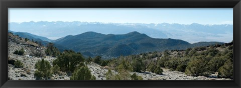 Framed Mountain range, White Mountains, Eastern Sierra, Bishop, Inyo County, California, USA Print
